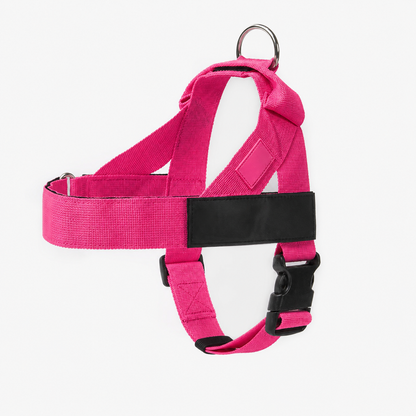Adjustable No-Pull Dog Harness, Lightweight Comfort Harness for All Dogs