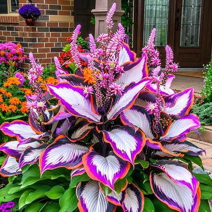 🔥Premium Rare Hosta Seeds🌿Shade-Tolerant Plant
