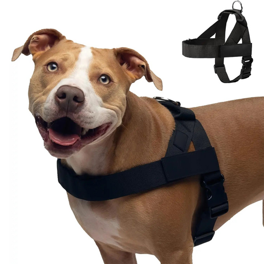 Adjustable No-Pull Dog Harness, Lightweight Comfort Harness for All Dogs