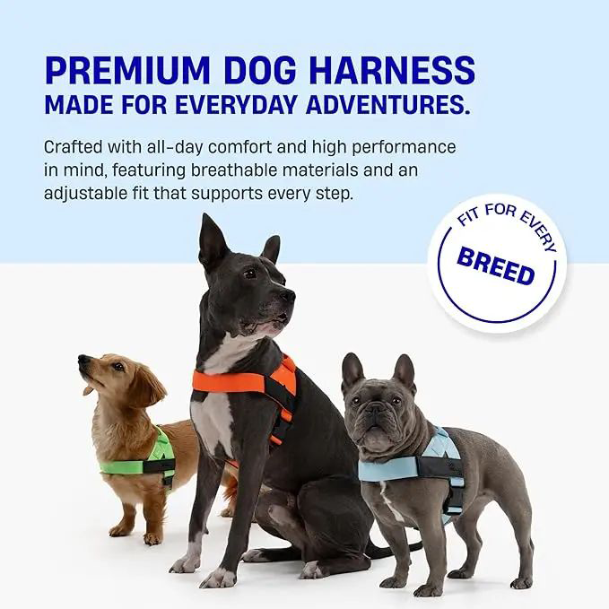 Adjustable No-Pull Dog Harness, Lightweight Comfort Harness for All Dogs