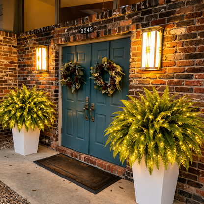 💛Glowing Boston Ferns – 🌿 Zero Watering, Zero Maintenance