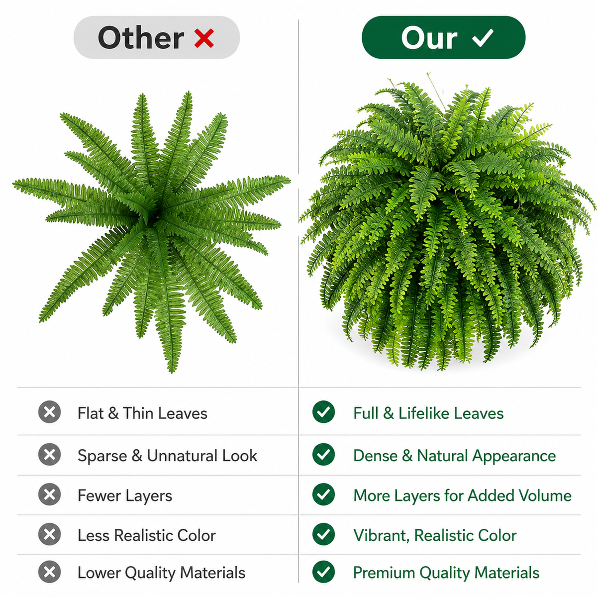 💛Glowing Boston Ferns – 🌿 Zero Watering, Zero Maintenance