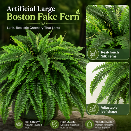 💛Glowing Boston Ferns – 🌿 Zero Watering, Zero Maintenance
