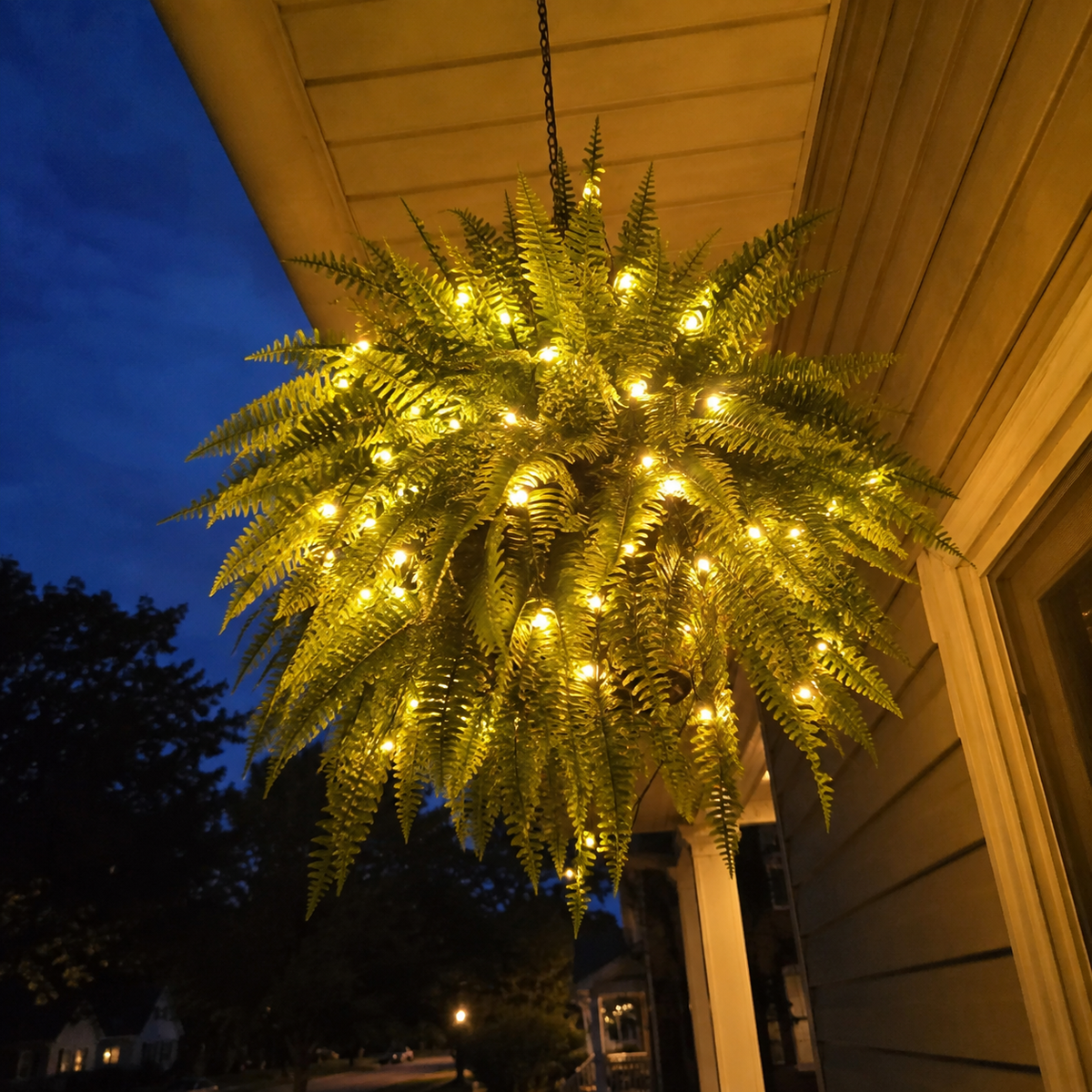 💛Glowing Boston Ferns – 🌿 Zero Watering, Zero Maintenance
