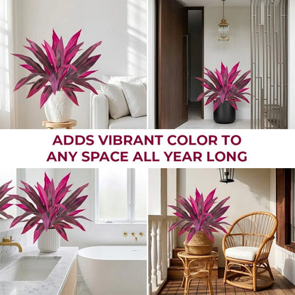 Artificial Boston Fern and Dragon Blood Tree Fake Plants