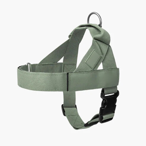 Adjustable No-Pull Dog Harness, Lightweight Comfort Harness for All Dogs