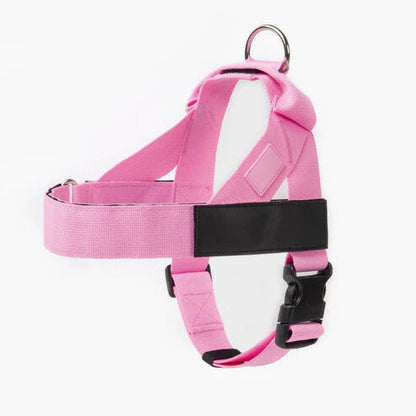Adjustable No-Pull Dog Harness, Lightweight Comfort Harness for All Dogs