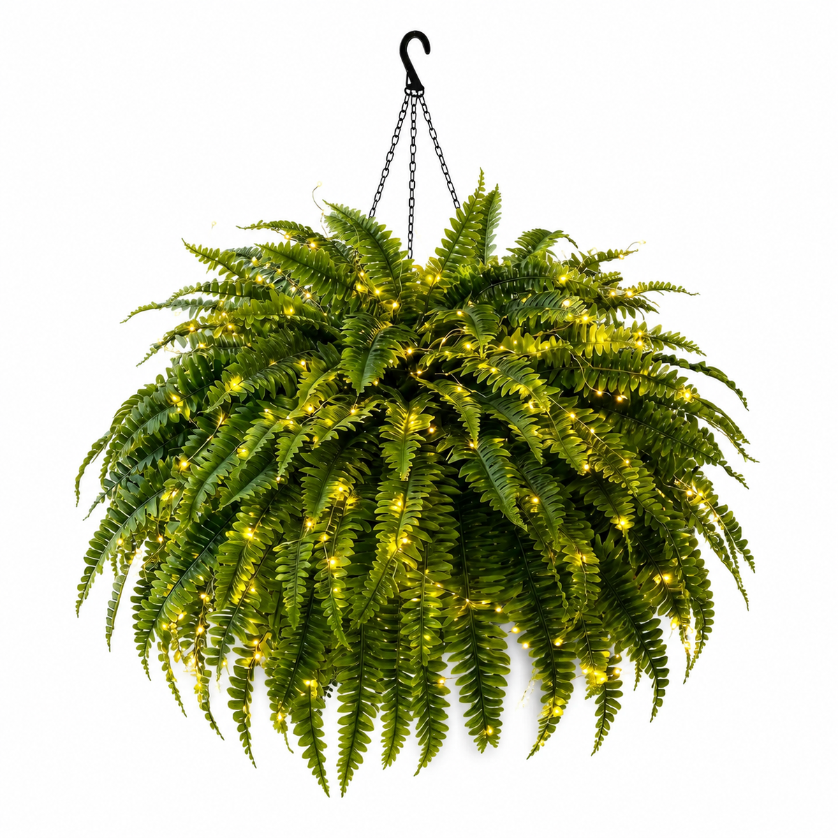 💛Glowing Boston Ferns – 🌿 Zero Watering, Zero Maintenance
