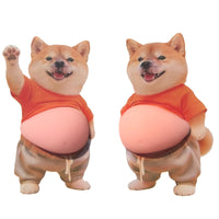 Happy Shiba Inu Pair
